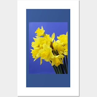 Yellow Daffodils Posters and Art